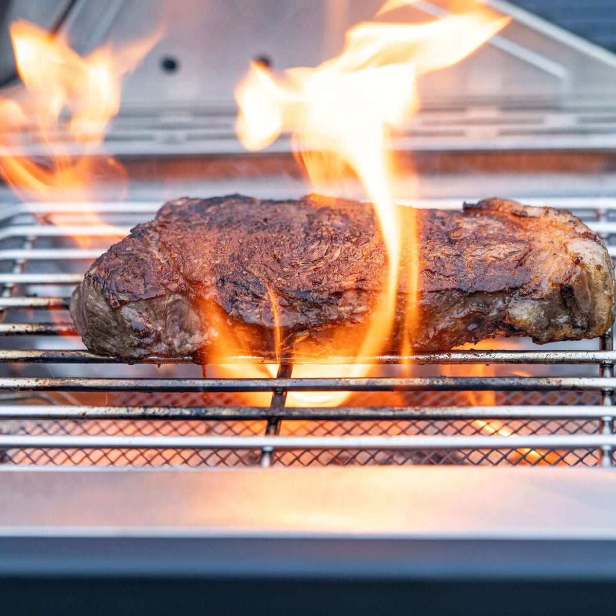Monument Grills Classic 35633 Series Propane Gas Grill, 4 Burners, Stainless Steel
