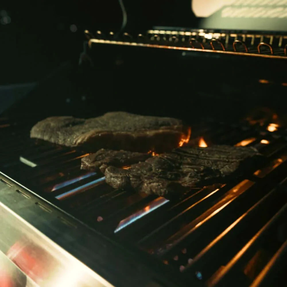 Monument Grills Denali 605 Series Smart Tech Propane Gas Grill, 6 Burners, Natural Gas Convertible, Stainless Steel