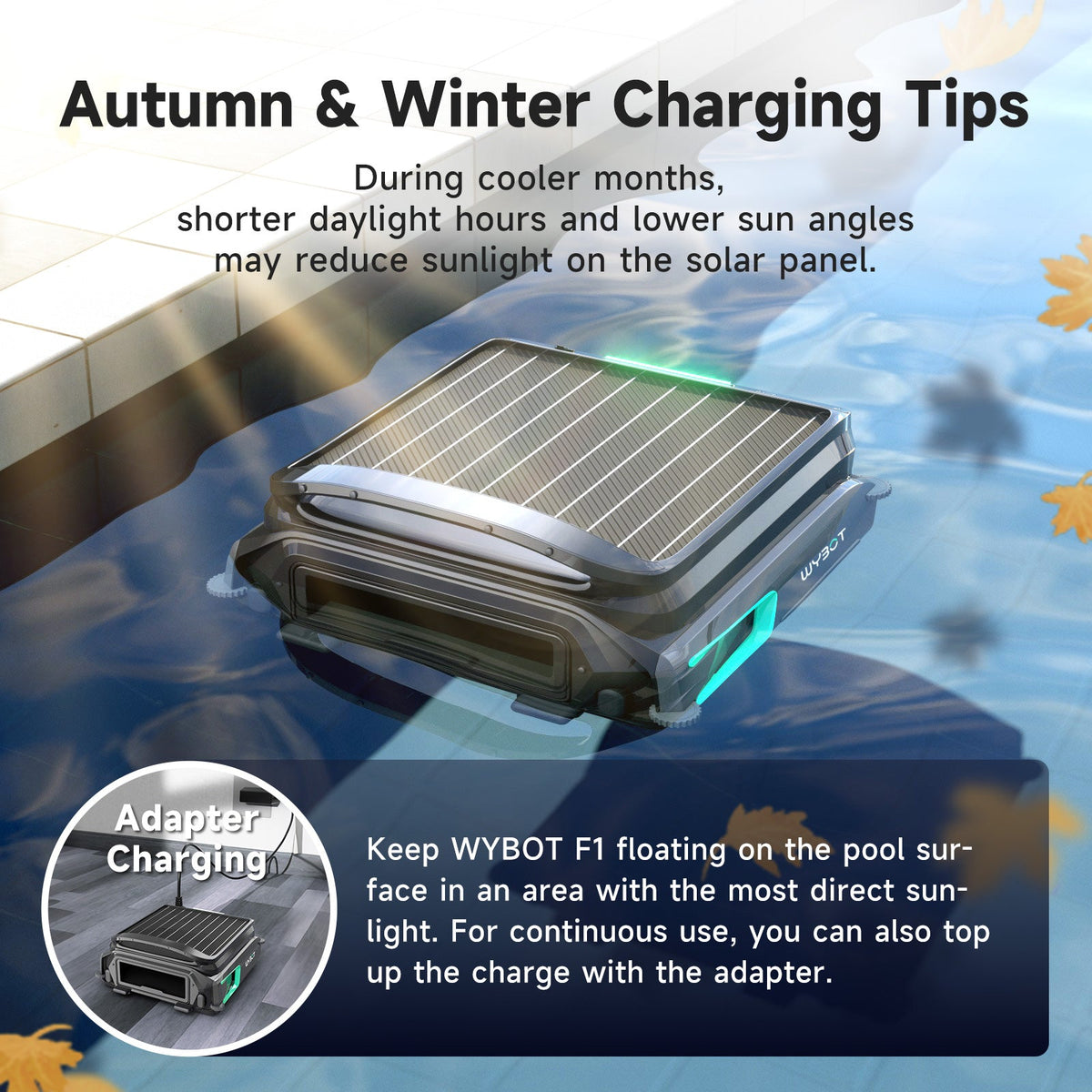 WYBOT F1 Robotic Pool Skimmer - fall and winter use 6