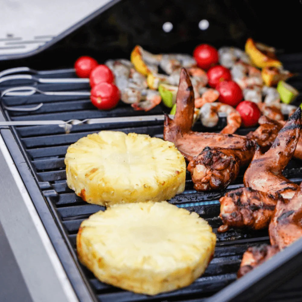 Monument Grills Mesa 200S Series Propane Gas Grill, 2 Burners, Stainless Steel
