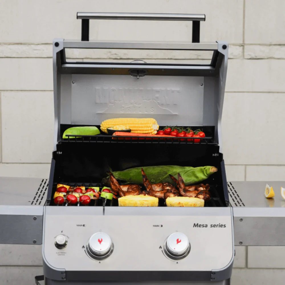 Monument Grills Mesa 200S Series Propane Gas Grill, 2 Burners, Stainless Steel