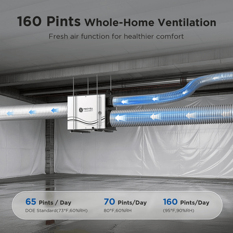 Moiswell Marshal whole-home dehumidifier WD160 - whole-home ventilation