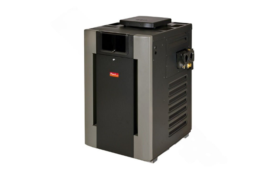 Raypak 009216 Natural Gas Electric Heater 199K BTU