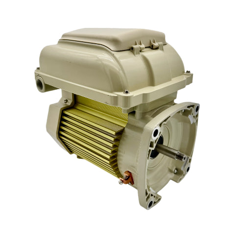 Pentair | 353132S | SuperFlo VS Pump Motor with Drive Assembly Kit