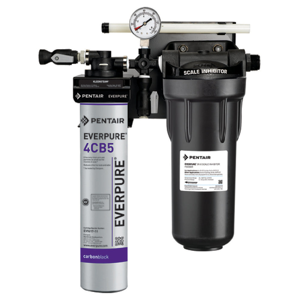 Everpure EV979750 KleenSteam® CT System 6000 Gallon Capacity 1.67 GPM Flow Rate