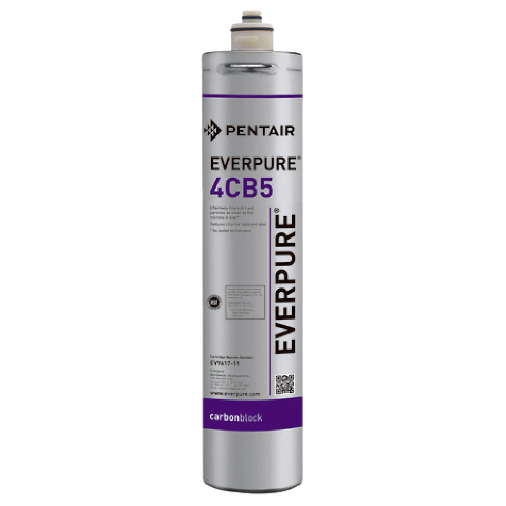Everpure EV961716 4CB5 Water Filter Cartridge