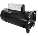 Pump Motor