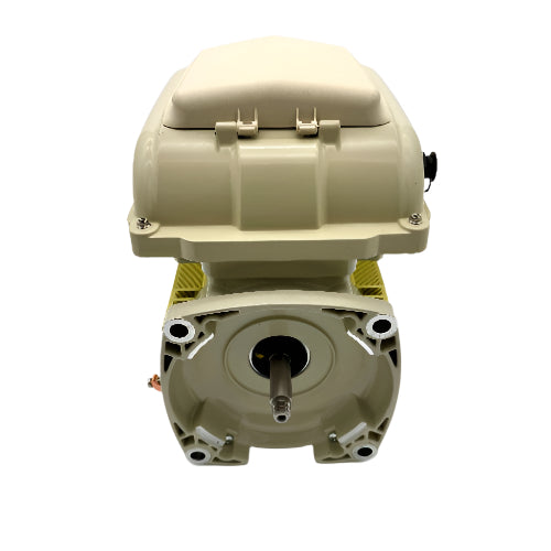 Pentair | 353132S | SuperFlo VS Pump Motor with Drive Assembly Kit