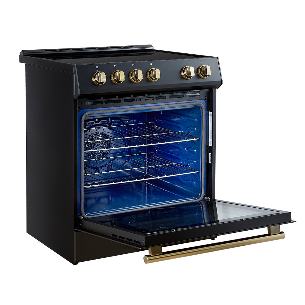 Forno 5-Piece Appliance Package - 30-Inch Inducton Range, Under Cabinet Range Hood, Refrigerator with Water Dispenser, Dishwasher, and 24-Inch Microwave Oven in Black with Antique Brass Trim