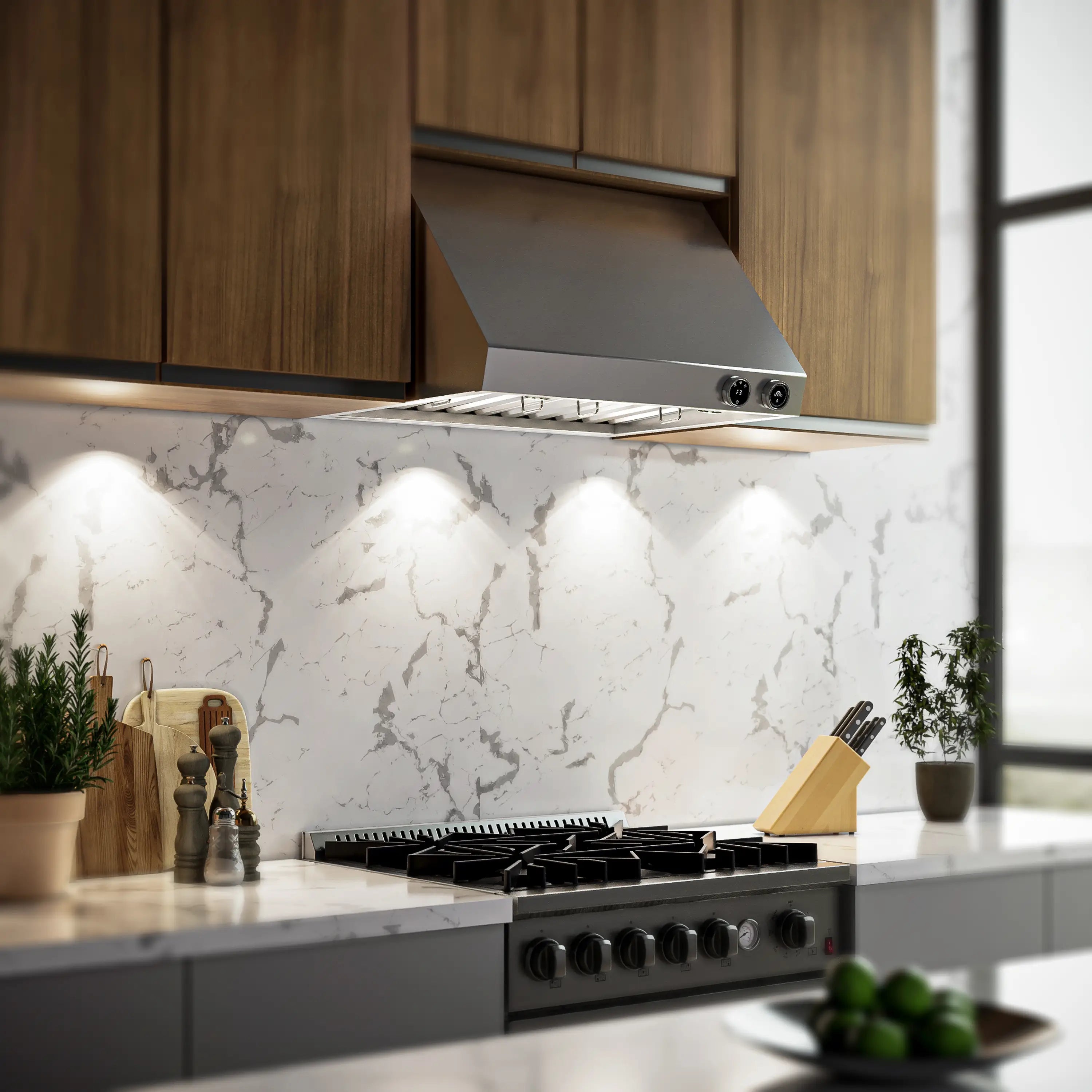 Forno Biagio 30-Inch 600 CFM Under Cabinet Range Hood in Stainless Steel (FRHWM5009-30)