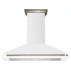 60" Range Hood