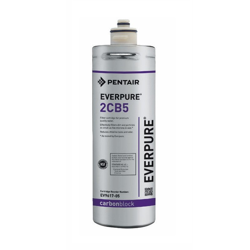 Everpure EV961705 2CB5 Water Filter Cartridge