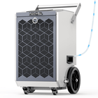 10" Commercial Dehumidifier