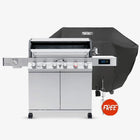 Gas Grill